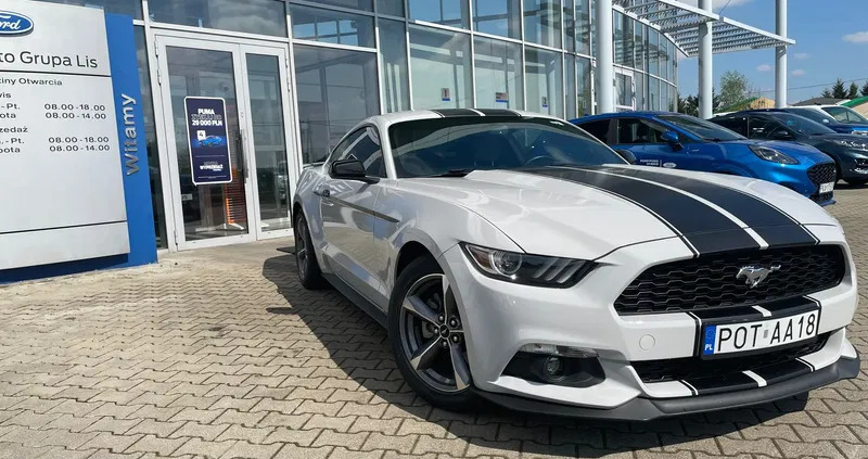 ford wielkopolskie Ford Mustang cena 90000 przebieg: 83300, rok produkcji 2017 z Prusice